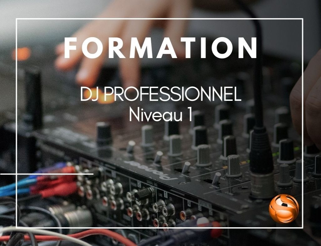 DJ professionnel - Niv 1